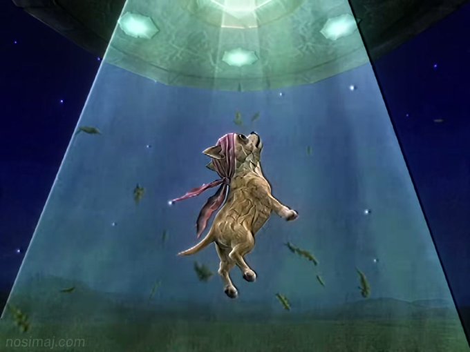A winged chihuahua levitates inside a glowing UFO beam against a starry night sky, with green leaf-like objects floating around it and a watermark reading "nosimaj.com" in the bottom left. The surreal, whimsical scene visually illustrates the "chihuahua story" referenced in the post, where the creator Nosimaj is promoting his viral TikTok content and seeking community support for a related token project.