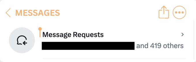 Screenshot of an Instagram 'Messages' inbox showing a Message Requests notification with a redacted username 'and 419 others'.