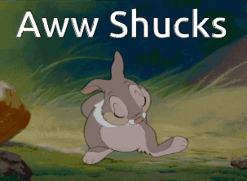 The image features a cartoon bunny sitting on grass, with text above and below the bunny stating "AWW SHOCKS". This phrase seems to be a reference or joke about the cartoon character from the movie "The Lion King", which was released in 1994. The phrase is likely meant as a playful pun or inside joke related to the character of Winnie the Pooh, who is often associated with the Disney animated film series.