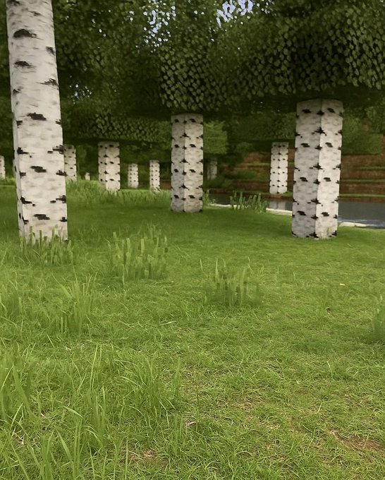 A Minecraft-style rendering of a birch forest with blocky white and black tree trunks and pixelated green grass.