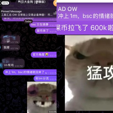 A cryptocurrency trading chat screenshot shows messages in Chinese celebrating BSC token "OW" surging 600k to 1.9m (16x gains), with a panicked cat meme emphasizing aggressive buying during bearish sentiment, alongside the contract address 0xe14b77ce30250cf94182b7019020fa00e7354444 for the OW token.