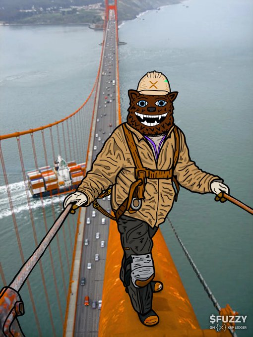 A cartoon bear wearing a hardhat with an "X" logo and climbing harness balances on the cables of the Golden Gate Bridge, with a ship passing below. The "X" on the helmet ties into the post's reference to XRP, while the green reflection noted in the helmet echoes the bullish green price candles associated with the token. Watermarks at the bottom read "$FUZZY ON XRP LEDGER."
