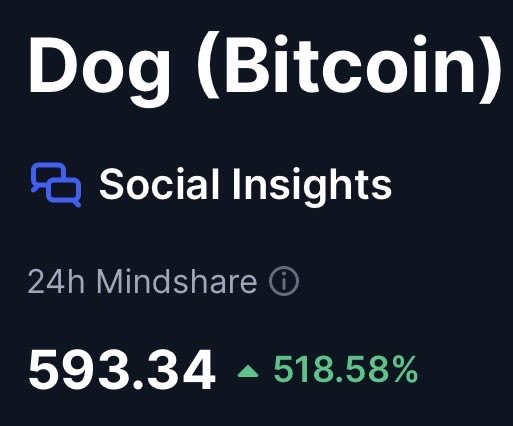 A 'Dog (Bitcoin)' Social Insights card showing 24h Mindshare of 593.34, up 518.58%.