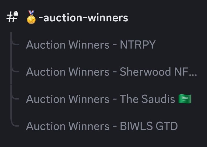 A Discord channel "#🏅-auction-winners" displays pinned messages featuring "Auction Winners - NTRPY," "Auction Winners - Sherwood NF...", "Auction Winners - The Saudis 🟩," and "Auction Winners - BIWLS GTD," corresponding to the four NFT whitelist communities mentioned in the post.