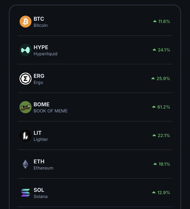 The image shows a cryptocurrency performance list with all assets displaying green upward gains: BTC (Bitcoin) +11.6%, HYPE (Hyperliquid) +24.1%, ERG (Ergo) +25.9%, BOME (BOOK OF MEME) +61.2%, LIT (Lighter) +22.1%, ETH (Ethereum) +19.1%, and SOL (Solana) +12.9%. The image reinforces the post's message by displaying an entire market of green-performing cryptocurrencies, teasing that the viewer is missing out on gains because their portfolio isn't participating in the rally.