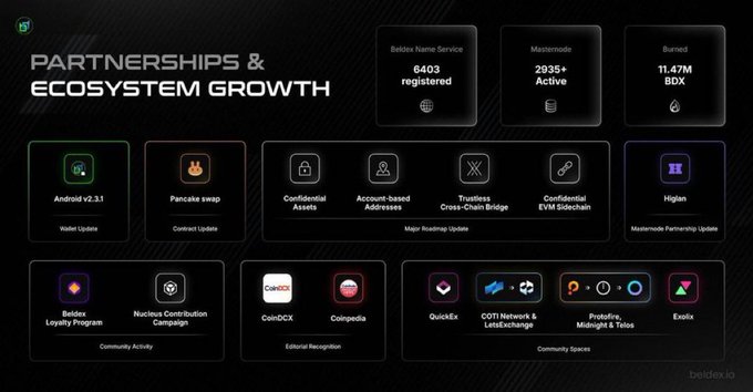 A 'PARTNERSHIPS & ECOSYSTEM GROWTH' slide showing cryptocurrency project statistics including 6403 Bebop Names Service registered, 2935+ Mastermode Active, 11.47M BDX Burned, and partners like Android v2.3.1, Pancake swap, Higan, CoinDCX, and QuickEx.