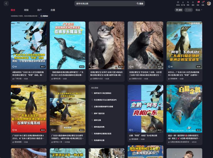 A video platform homepage displaying a grid of trending short videos in Chinese, primarily featuring penguins with captions about them growing in size and various zoo-related stories.