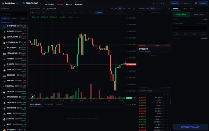 A screenshot of the BubbleSwap Pro trading interface displaying the SHIDO/USDC trading pair with a candlestick chart, order book, and market list showing a current price of $0.000102 and a 24-hour change of -2.35%. The image illustrates the live onchain trading terminal announced in the post, showcasing its advanced charting and order book features available at pro.bubbleswap.io.
