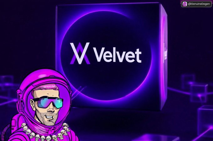 A digital illustration featuring a character with pink hair, sunglasses, and a pearl necklace, set against a purple background with a central 'Velvet' logo and the handle '@GenuineDegens' in the top right.
