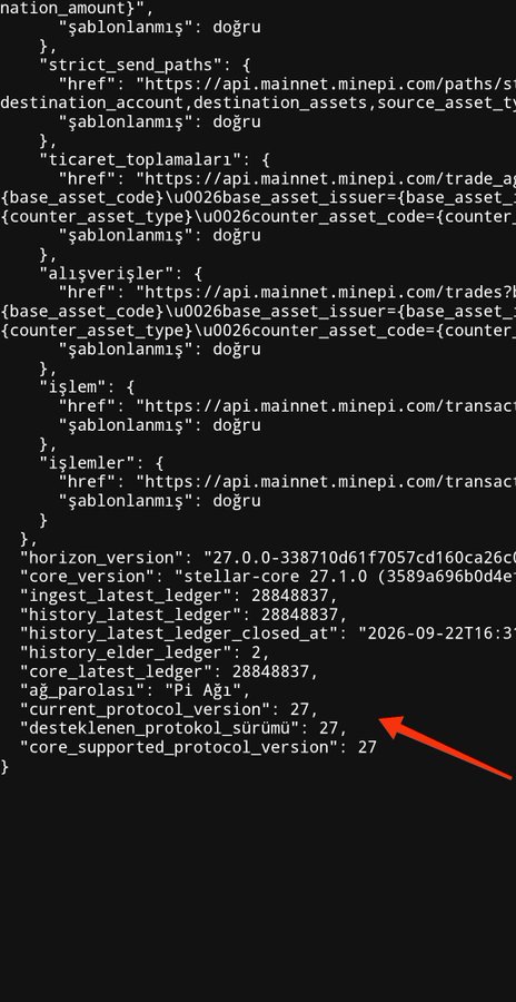 Code snippet showing JSON output with a red arrow pointing to "desteklenen_protokol_sürümü": 27, indicating the supported protocol version for the Stellar/Horizon API response.