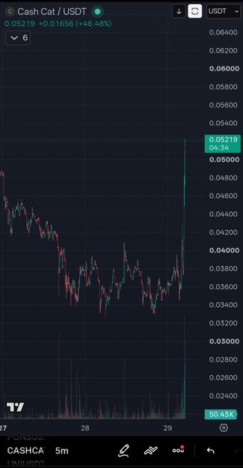 A candlestick chart shows $CASHCA/USDT on a 5-minute timeframe, with the price currently at 0.05219 (+46.48%) on TradingView, supporting the post's claim of a sudden surge after a prolonged decline. The chart visually illustrates the pattern described—extended bleeding around the 0.030–0.040 range followed by a sharp green candle spike to 0.05219, reflecting the meme coin cycle of patience rewarded by a sudden 5–10x move.
