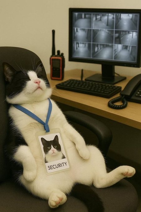 A black and white cat wearing a blue lanyard and a 'SECURITY' ID badge sits at a desk with a walkie-talkie and a monitor showing security camera feeds.