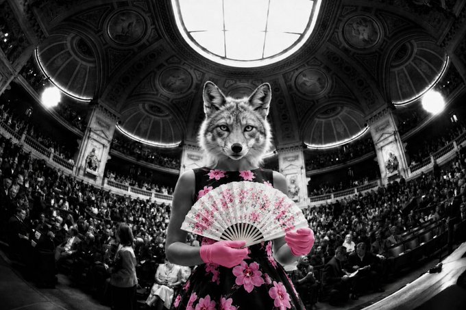 A surreal black-and-white photograph shows a figure with a wolf's head wearing a pink floral dress and matching gloves, holding a pink fan while standing in an ornate opera house filled with an audience. The piece, titled "Opera Flora," blends elegance and wildness—fitting its sale as an NFT celebrating the beauty of contrasts.