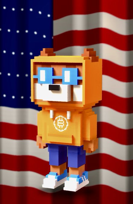 A 3D voxel-style character wearing an orange hoodie with a Bitcoin logo and blue pants stands in front of a waving United States flag.
