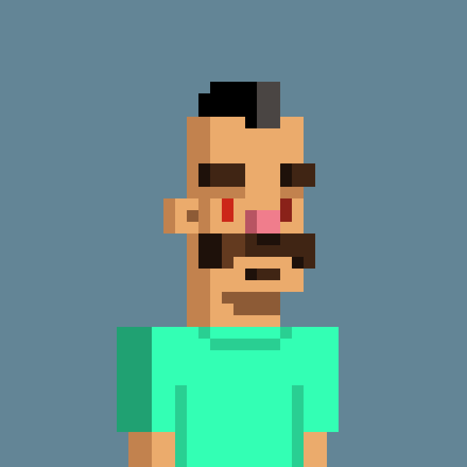 A low-resolution pixel art character depicting a man with a mohawk, mustache, and beard, wearing a green shirt against a blue background.