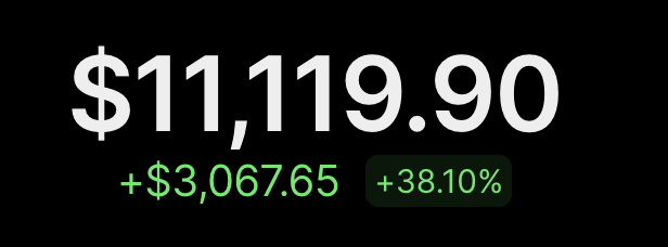 A black screen displaying a large white price of '$11,119.90' with a green gain of '+$3,067.65' and '+38.10%'.