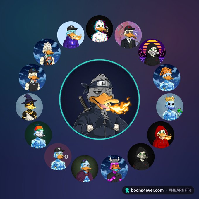 A promotional graphic for boons4ever.com NFT collection showing various duck character avatars arranged in a circle around a central ninja duck character with a sword and fire breath, tagged #HBARNFTs.