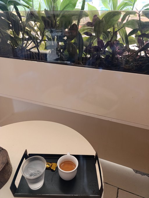 Photo of a small white round table holding a black tray with an espresso cup and a clear glass of water, set against a backdrop of green plants behind a glass window.