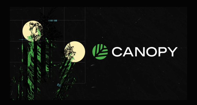 A Canopy brand graphic featuring stylized palm trees silhouetted against yellow moons on a dark background.