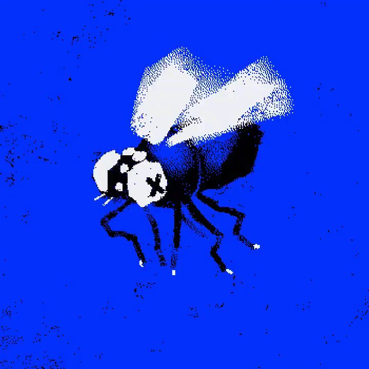The image features a black and white picture of a fly with its wings spread wide open. The background color is blue, which contrasts with the fly's dark body. The caption below the image reads "join the swarm, own the culture" by @DesLucrece.