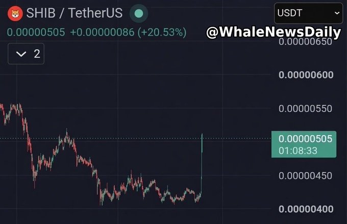 A cryptocurrency price chart shows the SHIB/TetherUS pair at 0.00000505 with a +20.53% gain, displayed on a dark interface credited to @WhaleNewsDaily.