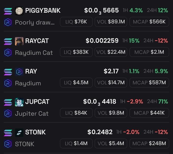 A cryptocurrency trading list showing tokens including PIGGYBANK ($0.000035665), RAYCAT ($0.0002259), RAY ($2.17), JUPCAT ($0.000034418), and STONK ($0.2482) on Raydium, with their liquidity, volume, and market cap data.