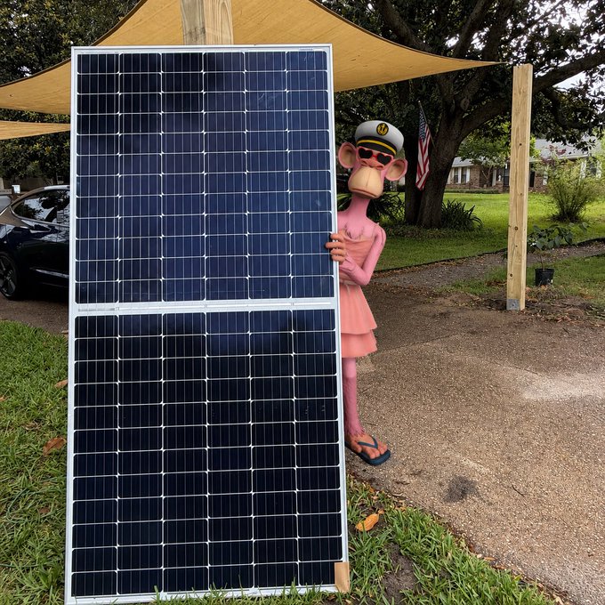The image features an adorable pink-dressed monkey holding up a large black solar panel with its arms. The monkey appears to be posing for the camera while standing next to a car. The photo also includes text that reads "Owning an ape means you own the rights to use it however you want. So here’s one of our mascots, your IP. GM". This suggests that the solar panel is related to the monkey or the concept of owning and using an exotic animal as a mascot for a solar company.