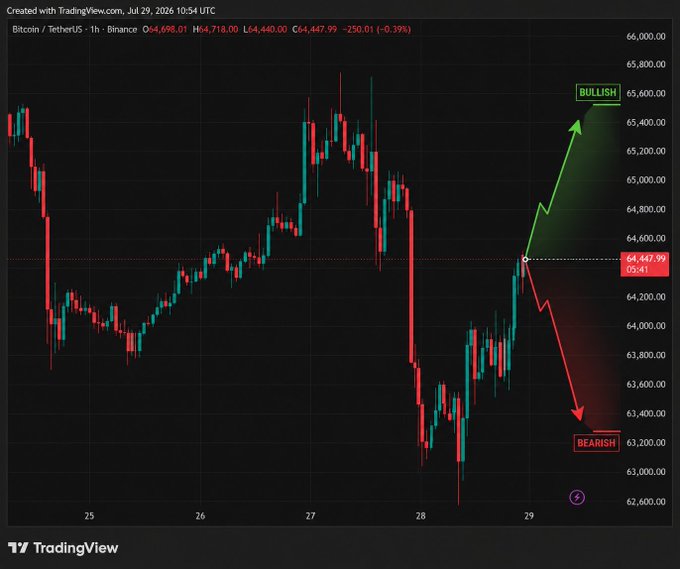 A TradingView candlestick chart for Bitcoin/TetherUS on Binance showing bullish (green up arrow) and bearish (red down arrow) projections from a key price level of $64,447.99, with Bitcoin priced at $64,698.01.