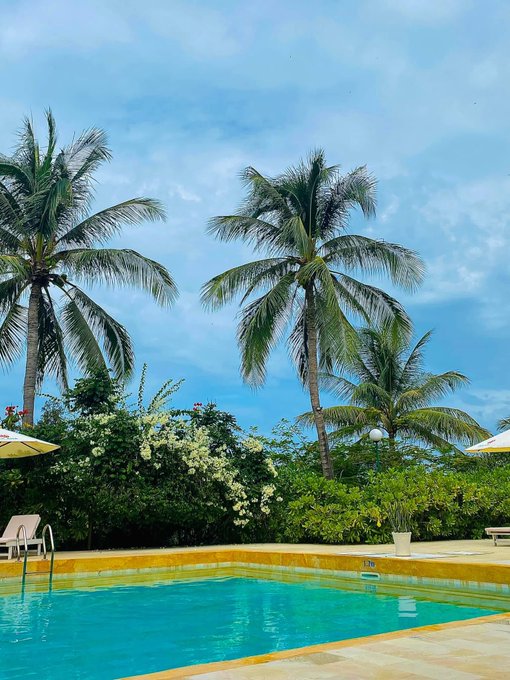 The image features a swimming pool surrounded by palm trees, with an umbrella nearby providing shade for those relaxing by the water. The sky above appears cloudy, creating a serene atmosphere around the scene.