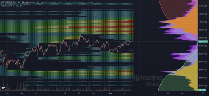 A TradingView chart of BTC/USD showing hourly price action around the 62,500 level, overlaid with colorful Volume Profile and Visible Range Volume Profile (VRVP) histograms highlighting key liquidity zones and support/resistance areas between 55,000 and 74,000.