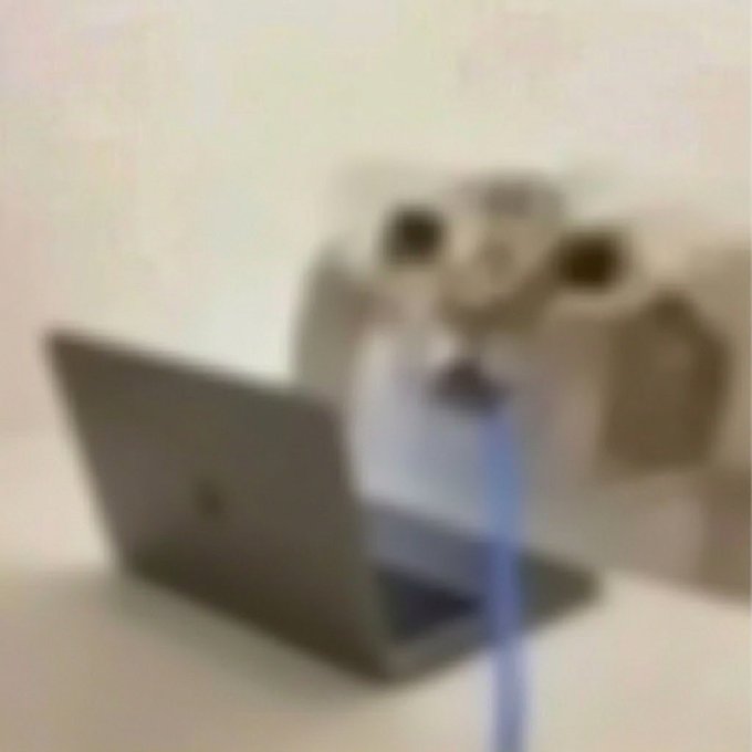 The image features a laptop computer sitting next to a cat's face, which appears to be drooling. The cat's eyes are open wide as if looking at the camera or something else that has caught its attention. The background of the photo is blurred, making it difficult to determine what exactly is happening in the scene.
