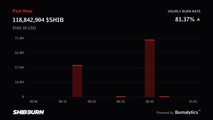 A Shiba Inu ($SHIB) burn rate dashboard from ShibBurn shows 118,842,904 $SHIB tokens ($569.38 USD) burned in the past hour, with an 81.37% increase in hourly burn rate and notable spikes visible around the 00:16 and 00:46 marks on the bar chart.