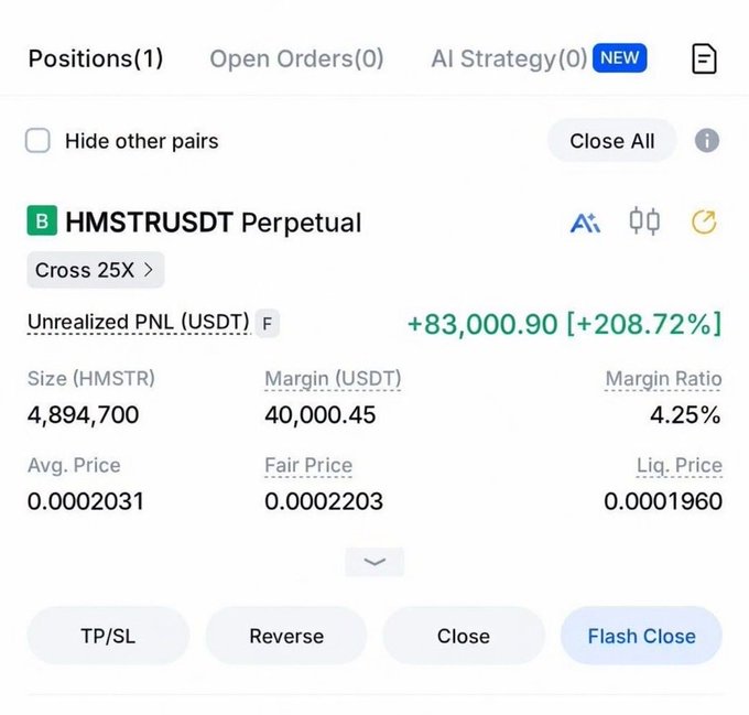 A cryptocurrency trading position screen showing HMSTRUSDT Perpetual with 25X cross leverage, displaying an unrealized PNL of +83,000.90 USDT (+208.72%) on 4,894,700 HMSTR.