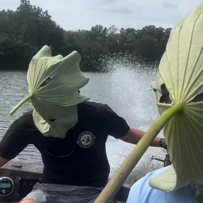 Two people on a boat wear large green leaves as masks/hats while riding across a lake, with water spraying behind them.