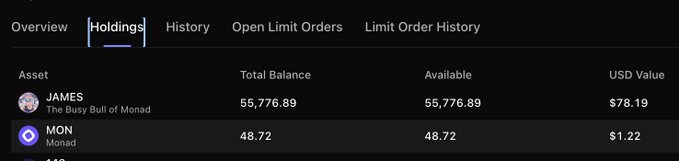 The image shows a "Holdings" tab from a crypto wallet displaying two assets: JAMES ("The Busy Bull of Monad") with a balance of 55,776.89 tokens valued at $78.19, and MON (Monad) with 48.72 tokens valued at $1.22. This relates to the post as the user is checking their wallet for crypto drops/airdrops on the Monad network.