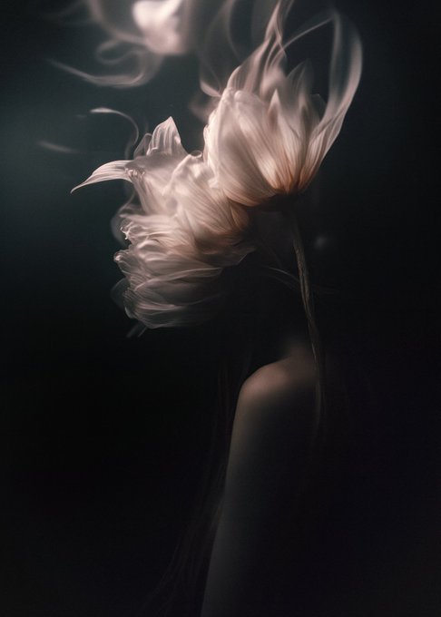 An artistic dark photograph featuring ethereal, smoke-like flower petals floating above a partially visible silhouette of a person against a black background.