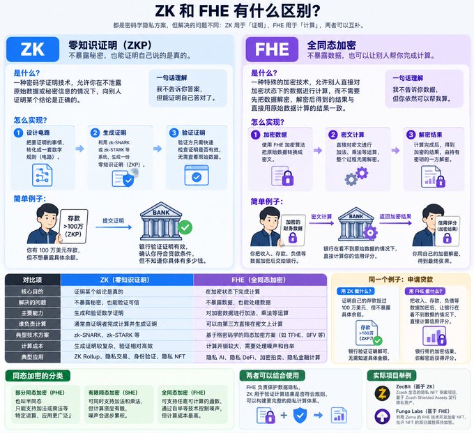 A Chinese-language infographic titled 'ZK and FHE有什么区别?' (What's the difference between ZK and FHE?) comparing Zero-Knowledge Proofs (ZK/ZKP) and Fully Homomorphic Encryption (FHE), explaining their core purposes, implementation steps, and use cases including ZK Rollup, zk-STARK, and applications like Zcash and FHE-related projects such as Fungi Labs.