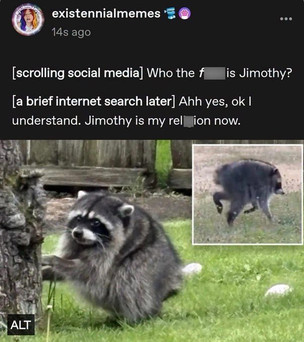 A social media post by 'existennialmemes' features a meme with text '[scrolling social media] Who the f*** is Jimothy?' followed by '[a brief internet search later] Ahh yes, ok I understand. Jimothy is my religion now,' alongside images of a raccoon and a bear-like animal.