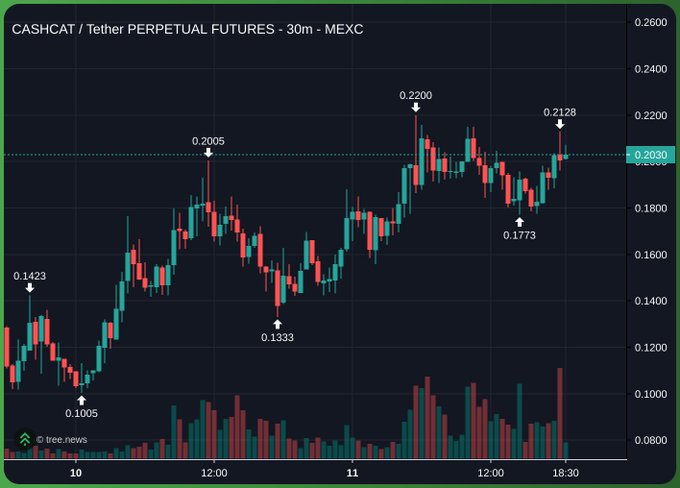 A 30-minute candlestick chart of CASHCAT/USDT perpetual futures on MEXC shows a strong rally from a low of 0.1005 to a high of 0.2200, with price currently testing the 0.2030 resistance level after retracing from 0.2200 and bouncing off support at 0.1773. The chart visually supports the bullish sentiment in the post about community enthusiasm for $CASHCAT and potential developments from the Robinhood chain.