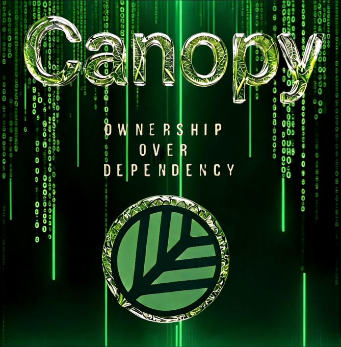 The image features a promotional graphic for "Canopy" with the tagline "OWNERSHIP OVER DEPENDENCY," showcasing the Canopy logo—a stylized tree within a circle—against a green digital background filled with cascading binary code reminiscent of "The Matrix." It visually reinforces the post's message by symbolizing Canopy's modern, tech-forward approach to simplifying blockchain development, contrasting the outdated "punch card" methods mentioned in the caption.