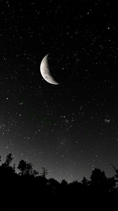 A black-and-white night photograph showing a crescent moon shining in a star-filled sky, framed by the dark silhouettes of treetops along the horizon.