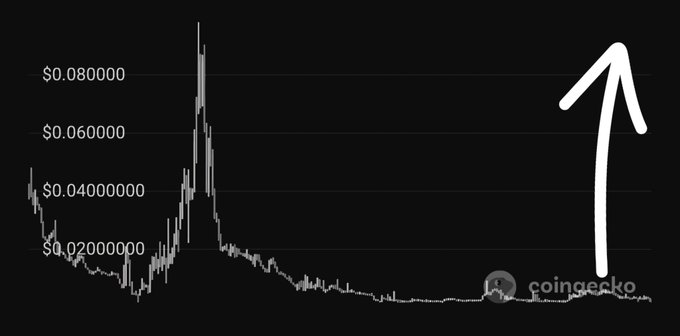 A Coingecko chart showing a cryptocurrency's price history with a prominent white upward arrow, displaying price levels from $0.02 to $0.08 on the y-axis.