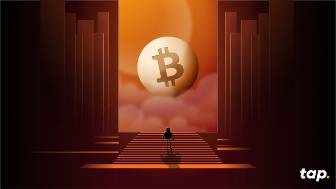 The image features a man standing at the bottom of a staircase with a large white Bitcoin coin floating above him. The coin appears to be floating in mid-air, creating an illusion that the man is walking up or down the stairs towards it. The background of the image is dark and filled with columns, giving the impression of a grand architectural structure. The caption below the image reads "The Rarest Asset of the Digital Age", which suggests that Bitcoin holds some sort of value in today's society due to its unique properties as a digital currency.