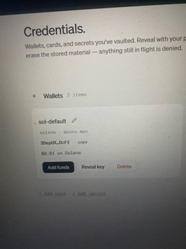 The image shows a "Credentials" vault page displaying a saved Solana wallet entry containing a secret key and a balance of $6.61 in SOL. It relates to the post as the user likely managed to recover or access their wallet credentials (possibly through Moonpay) after struggling to retrieve their Solana funds, which explains their relief at finally gaining access to their stored assets.