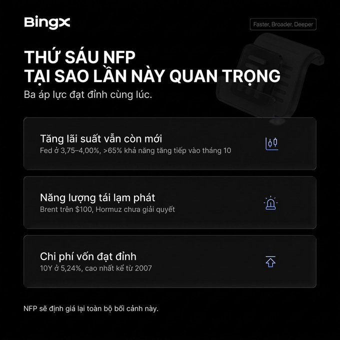 A BingX cryptocurrency marketing graphic in Vietnamese titled 'THỨ SÁU NFP TẠI SAO LẦN NÀY QUAN TRỌNG' (NFP Friday - Why This Time Is Important), highlighting three pressures: Fed rate hikes (3.75-4.00%, >65% chance of October hike), oil heating (Brent above $100), and capital cost peak (10Y at 5.24%, highest since 2007).