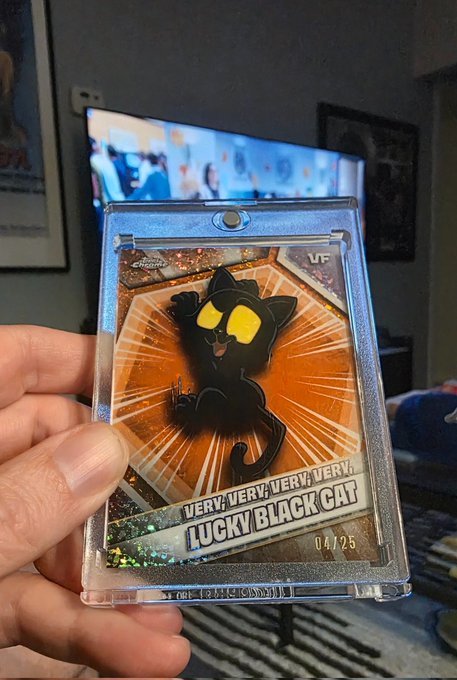 A hand holds a holographic Topps trading card featuring a black cat illustration, numbered 04/25, with the text "VERY, VERY, VERY, VERY LUCKY BLACK CAT" in a protective case, against the backdrop of a TV screen. The card matches the post, which highlights the collectible as a rare VeeFriends VVVVLBC limited-edition card and discusses the owner's plans for it.