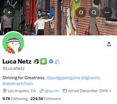 A Twitter/X profile for Luca Netz (@LucaNetz) with the bio 'Striving for Greatness' and 229.5K followers, based in Los Angeles, CA.