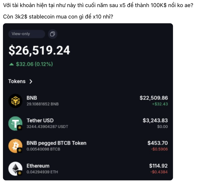 A screenshot of a cryptocurrency wallet showing a total balance of $26,519.24, with holdings in BNB ($22,509.86), Tether USD ($3,243.83), BNB pegged BTCB Token ($453.70), and Ethereum ($114.92), accompanied by Vietnamese text asking about potential 5x growth.