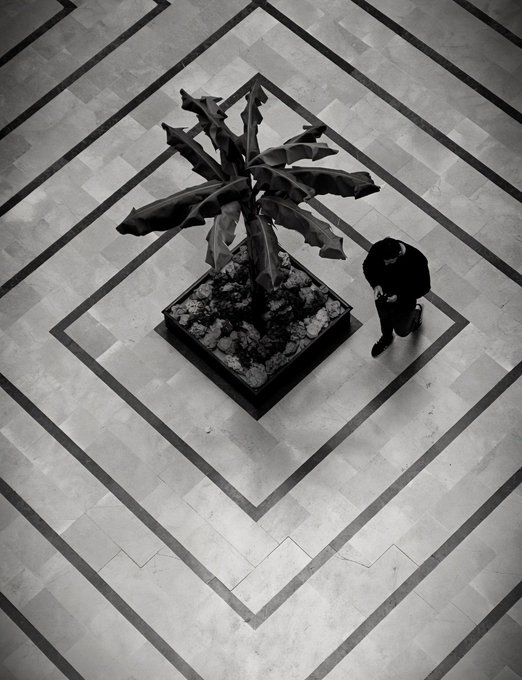 Black-and-white aerial photograph of a person standing next to a large potted palm-like plant in a geometric diamond-patterned tiled plaza.