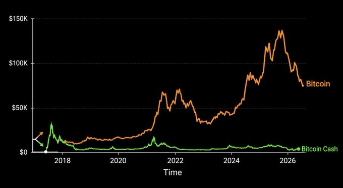 A line chart compares the price trajectories of Bitcoin (orange) and Bitcoin Cash (green) from 2018 to 2026, showing Bitcoin peaking near $150K around 2025.